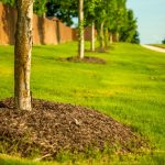 Landscape Supply Guidance