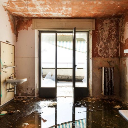 Bringing Homes Back to Life with Professional Water Damage Restoration in Jackson